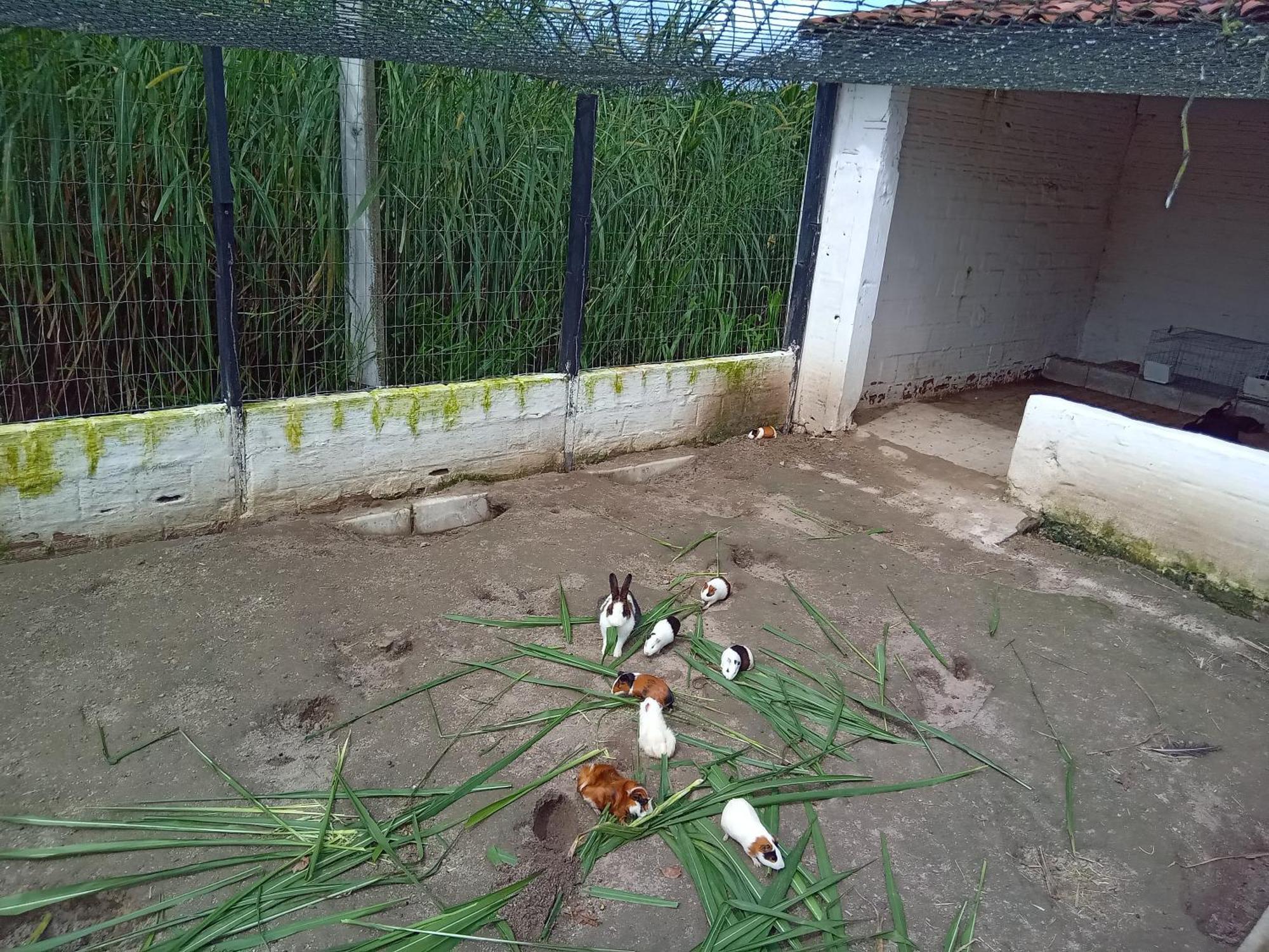 Flat 404 Villa Hipica グラヴァター エクステリア 写真